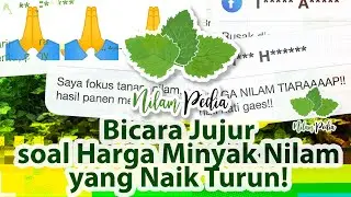 73. Nilampedia Bicara Jujur soal Harga Minyak Nilam yang Naik Turun!
