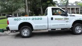Tree Service Tree Work Watering Service 2