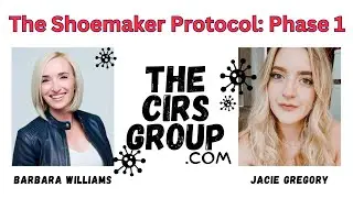 Phase 1 - Diagnosis: The Shoemaker Protocol for CIRS