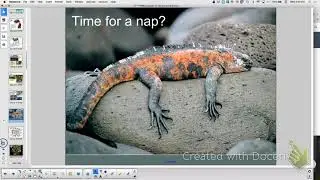 APBio Ch 15 Review: Darwin and Evolution