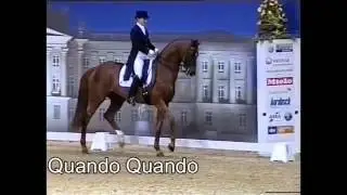 Quando Quando - Hengstschau Sosath