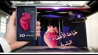 ليه الطباعة الحيوية للأعضاء