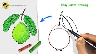 How to Draw Guava Step By Step Very Easy for Beginners | Very easy way Guava fruit Drawing