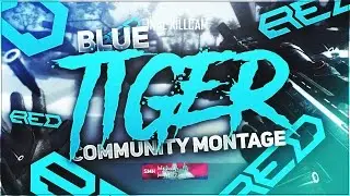 Blue Tiger Community Montage by Ligie & Keezoh (Online)
