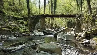 Limentrella di Treppio - Pesca a mosca nei torrenti dell'Appennino Tosco Emiliano - WildFly.it