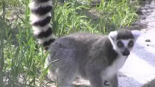 Behind the Scenes - Safari North Wildlife Park