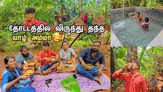 யாழ் அம்மாவின் 🥰 தோட்டத்துக்கு அழைத்து விருந்து தந்த குடும்பம் / Family Vlog
