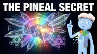 The Pineal Gland Mystery: The Organ Science Can&rsquo;t Quite Explain