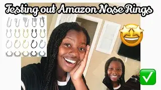 Amazon Review Cute Affordable Fake Nose Rings