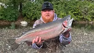 Steelhead Fishing Erie Pa (2024)