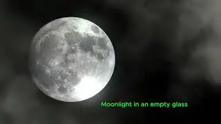 Moonlight in an empty glass