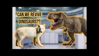 Why Bringing Back Dinosaurs Is Impossible&mdash;Sunday Science Explained