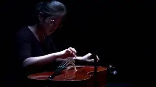 Yang Song, Phoenix Eye, Dragon Eye 龙眼，凤眼