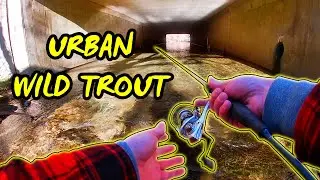 Winter Creek Fishing For Wild Trout (Urban Fishing)