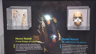 WX 101: Being Human Exhibit