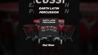 Earth Latin percussion 🌎🥁 #shorts