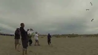 Team iQuad - Final WSIKF show (Raiders)