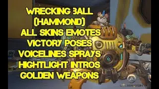 [Overwatch][Public Test Region] Wrecking Ball (Hammond)  - All Skins & Items