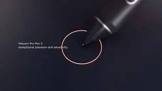Чрезвычайно чувствительное перо Wacom Pro Pen 2