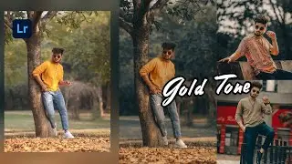 Gold Tone Preset | Lightroom free mobile preset DNG | Lightroom tutorial
