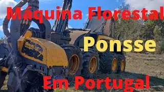 Como trabalhar com M&aacute;quina Florestal Ponsse com a Cabe&ccedil;a de Corte em Portugal 🇵🇹.