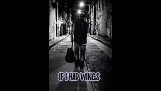 IF I HAD WINGS