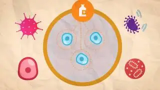 ¿Qué es el sistema inmune y por qué es importante en la esclerosis múltiple?