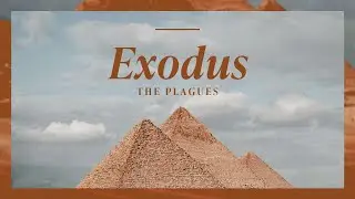 Harbor at Home 02/02: The Exodus