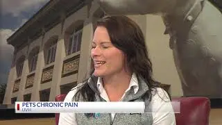 Pet Health Chronic Pain