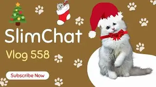 SlimChat 558 Vlog -  Yo Ho Ho Don't Call Me a Ho and don't say Yo|  Diet Rocks
