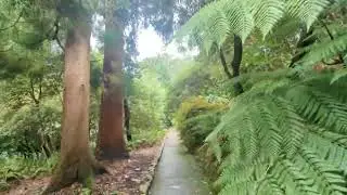 Terrific Trelissick Gardens - Episode 44 - Change Of Pace