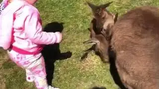 Ballarat wild life park 2019