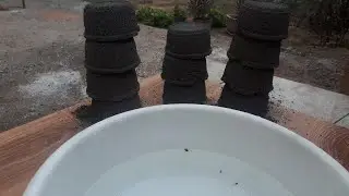 ASMR:smokey pure charcoal reforms crumbling in water/satisfying video ,sleepaid😴