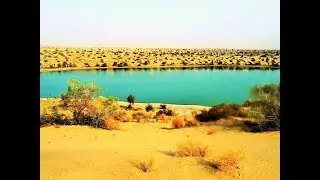 Thar Desert Beauty