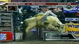 Werewolf bucks Ross Johnson - 05 PBR Anaheim