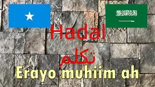 عربي Somali - Ereyada muhiimka ah ee Carabiga