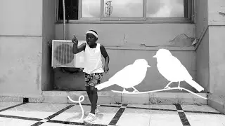 Medikal Borla Bird Challenge Freestyle By Litical Bambi Ahye Dancers