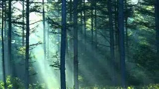 Lestariku by Chrisye (rie).wmv