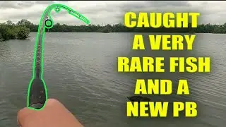 Carp Fishing at Rock Run Rookery: Landing a New Personal Best & a Rare Catch!
