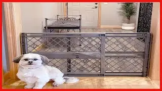 MYPET North States 40&rdquo; Paws Portable Pet Gate: Made in USA, Expands & Locks in Place with No Tools
