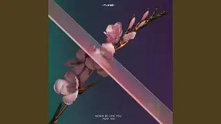 Never Be Like You