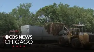 Major municipal composting program is off the ground in Berwyn, Illinois