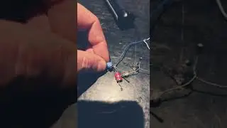 Why does this gas discharge tube conduct and complete the circuit with out being energized?
