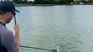 Short Pole Fishing With Pellets | Big Carp