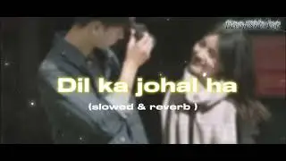 Dil ka johal ha song [lyrical] | lofi song (slowed+reverb) || DreamSide Lofi