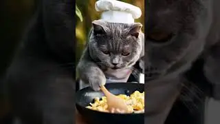 ASMR Quiet Cat Cooks Fried Rice Outdoors | Cozy Cooking #asmr #catchef #cozycooking #outdoorcooking