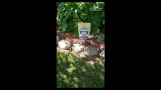 Sea Protein-BOOST your poultry!