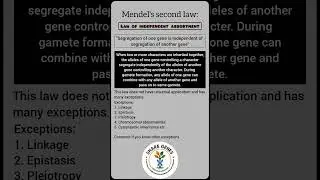 Law of independent assortment #mendel #genetics #plantbreeding #sciencehistory #biology #biotech#dna