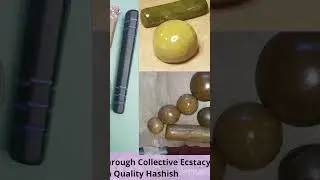 Hash Master Reveals the Surprising Truth About Potency and Experience
