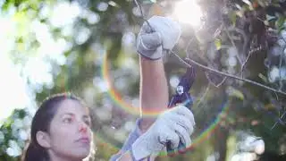 Fiskars Hand Pruning | BestYardTips